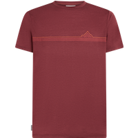 Icebreaker Men's Merino 150 Tech Lite Tee Range Stripes Port