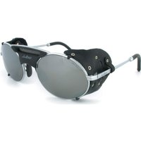 Julbo Micropores GT Alti Arc 4+ Nickel
