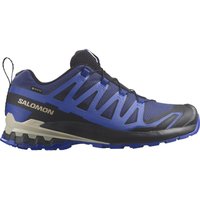 Salomon Men's XA Pro 3D V9 GORE-TEX Blue Print/Surf The Web/Lapis Blue