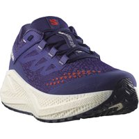 Salomon Men's Aero Glide 3 Grvl Astral Aura/Vanilla Ice/Haute Red