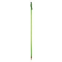 Zandstra Ice Prod Green