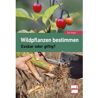 Wildpflanzen bestimmen