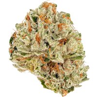 Apple Rock Candy Flower - Hybrid - THCA