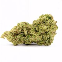 Grapes n Cream Flower - Hybrid - THCA