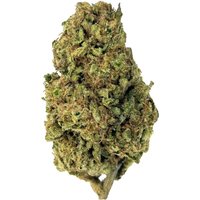 Legend OG Flower - Indica - THCA