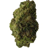 Gush Mintz Flower - Indica - THCA