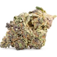 Pink Runtz Flower - Hybrid - THCA