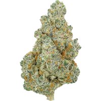 Orange Push Pop Flower - Hybrid - THCA