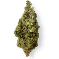 Lemon Bean Flower - Sativa - THCA