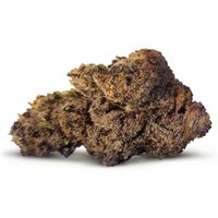 Halle Berry Flower - Hybrid - THCA
