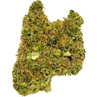Tangelo Flower - Hybrid - THCA
