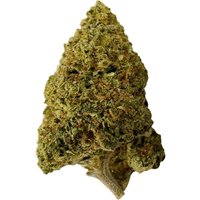 Master Kush THC Flower - Indica - THCA