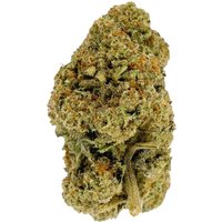 Geladosi Flower - Indica - THCA