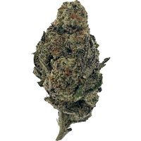 G Flower - Sativa - THCA