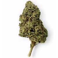 Godfather OG Flower - Hybrid - THCA