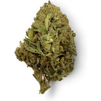 Red Congolese Flower - Sativa - THCA