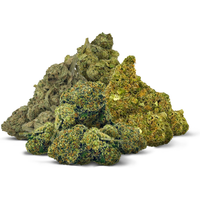 Chill Plus - Sativa Half O Flower Bundle - THCA - 4ct