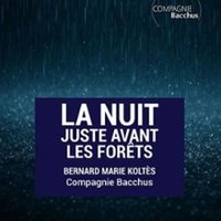 La Nuit Juste Avant les Forets