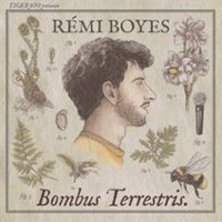 Rémi Boyes - Bombus Terrestris V2