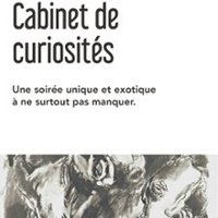 Cabinet de Curiosités