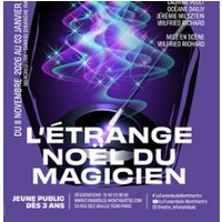 L'Etrange Noël du Magicien