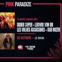 Ludwig Von 88 + Didier Super + les Vulves Assassines + Dab Rozer