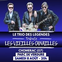 Le Trio des Légendes Tribute - les Vieilles Canailles
