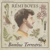 Rémi Boyes - Bombus Terrestris V2