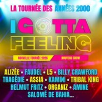 I Gotta Feeling - La Tournée Des Années 2000