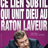 Ce Lien Subtil Qui Unit Dieu Au Raton Laveur