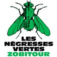 Les Négresses Vertes