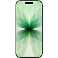 iPhone 17 256GB