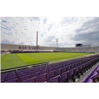 Fiorentina vs Genoa