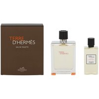 Hermes Terre D'Hermes 100ml Eau de Toilette + 80ml S/G Set