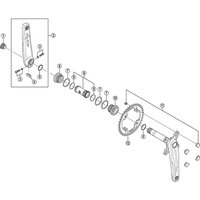 Freewheel Shimano Spares FC-M810 plate | Extra 10% off for BC Members, money back guarantee + FREE Delivery options & Returns