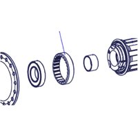 Freewheel DT Swiss External screw thread ring nut M34 x 1 mm, for 3-pawl hubs, steel | Extra 10% off for BC Members, money back guarantee + FREE Delivery options & Returns