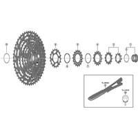 Freewheel Shimano Spares CS-M8100 sprocket wheel 18T F | Extra 10% off for BC Members, money back guarantee + FREE Delivery options & Returns