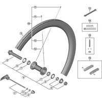 Freewheel Shimano Spares WH-R9200-C50-TU-F spoke, 261 mm | Extra 10% off for BC Members, money back guarantee + FREE Delivery options & Returns