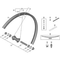 Freewheel Shimano Spares WH-M8200-TL-F15-B-29 spoke and nipple, 298 mm | Extra 10% off for BC Members, money back guarantee + FREE Delivery options & Returns