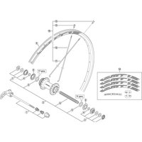 Freewheel Shimano Spares WH-MT15-A-F-29 left hand spoke, 287.5 mm | Extra 10% off for BC Members, money back guarantee + FREE Delivery options & Returns