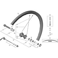 Freewheel Shimano Spares WH-RX830 spoke with plug and washer, 288 mm | Extra 10% off for BC Members, money back guarantee + FREE Delivery options & Returns