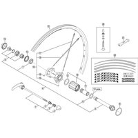 Freewheel Shimano Spares WH-6800-R left hand spoke, 305 mm with plug & washer | Extra 10% off for BC Members, money back guarantee + FREE Delivery options & Returns