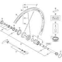 Freewheel Shimano Spares WH-RS81-C35-CL-R left hand spoke, 270 mm | Extra 10% off for BC Members, money back guarantee + FREE Delivery options & Returns