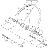 Freewheel Shimano Spares WH-MT55-29 spoke 303 mm | Extra 10% off for BC Members, money back guarantee + FREE Delivery options & Returns