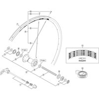 Freewheel Shimano Spares WH-R501 complete quick release 133 mm, black | Extra 10% off for BC Members, money back guarantee + FREE Delivery options & Returns