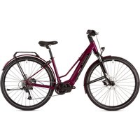 Freewheel Ridgeback Advance 2W | Extra 10% off for BC Members, money back guarantee + FREE Delivery options & Returns