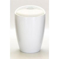 Dalius High Gloss Stool With Storage In White