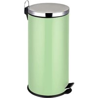 Fairport Stainless Steel 30 Litre Miller Pale Green Bin In Green