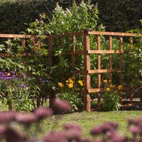 Hizo Wooden Garden Dip Treated Trellis In Honey Brown 6x2