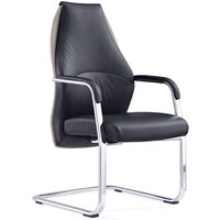 Mien Leather Cantilever Office Visitor Chair In Black And Mink